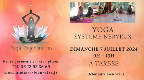 Yoga Regeneration Systeme Nerveux