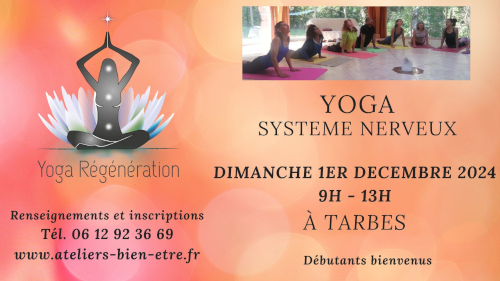 Yoga Regeneration Systeme Nerveux