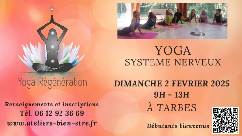 Yoga Regeneration Systeme Nerveux